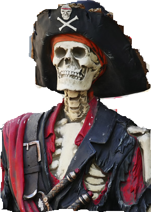 pirate.fw_.png